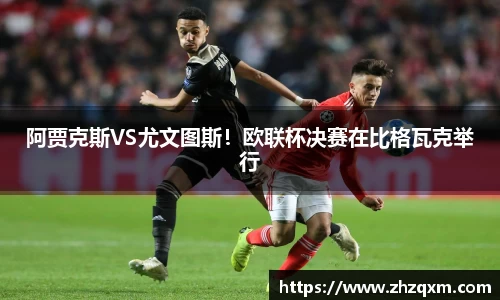 新利体育